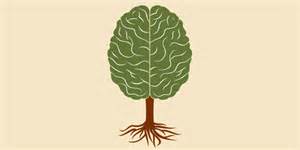 I: Head – the primary head's blog