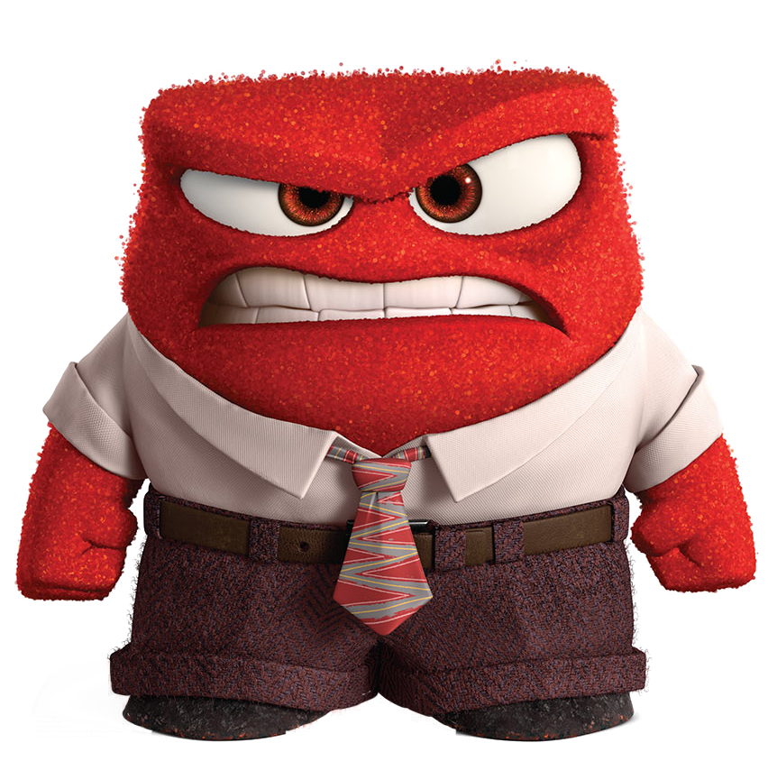 Selective Fury – the primary head's blog